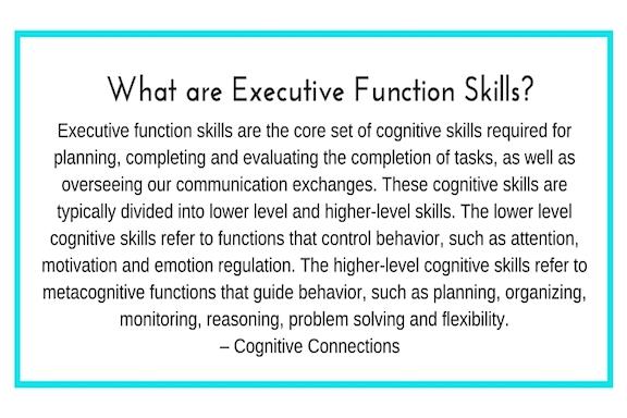 What are Executive Function Skills