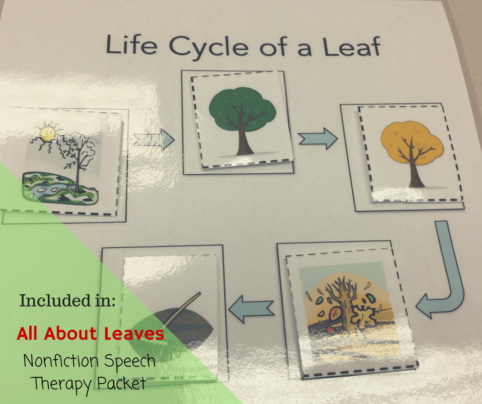 Why Do Leaves Change Color | Scanlon Speech Therapy