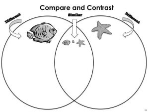 ocean animals, venn diagram