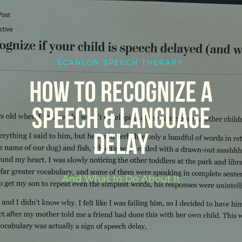 speech and language delay